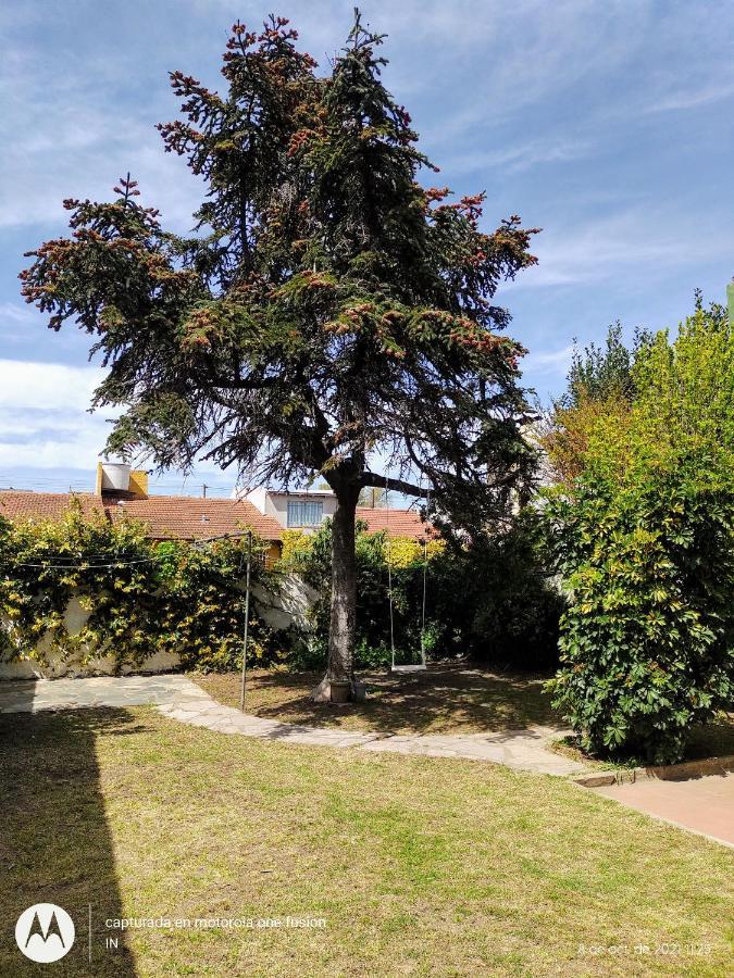 La Casa De La Oma